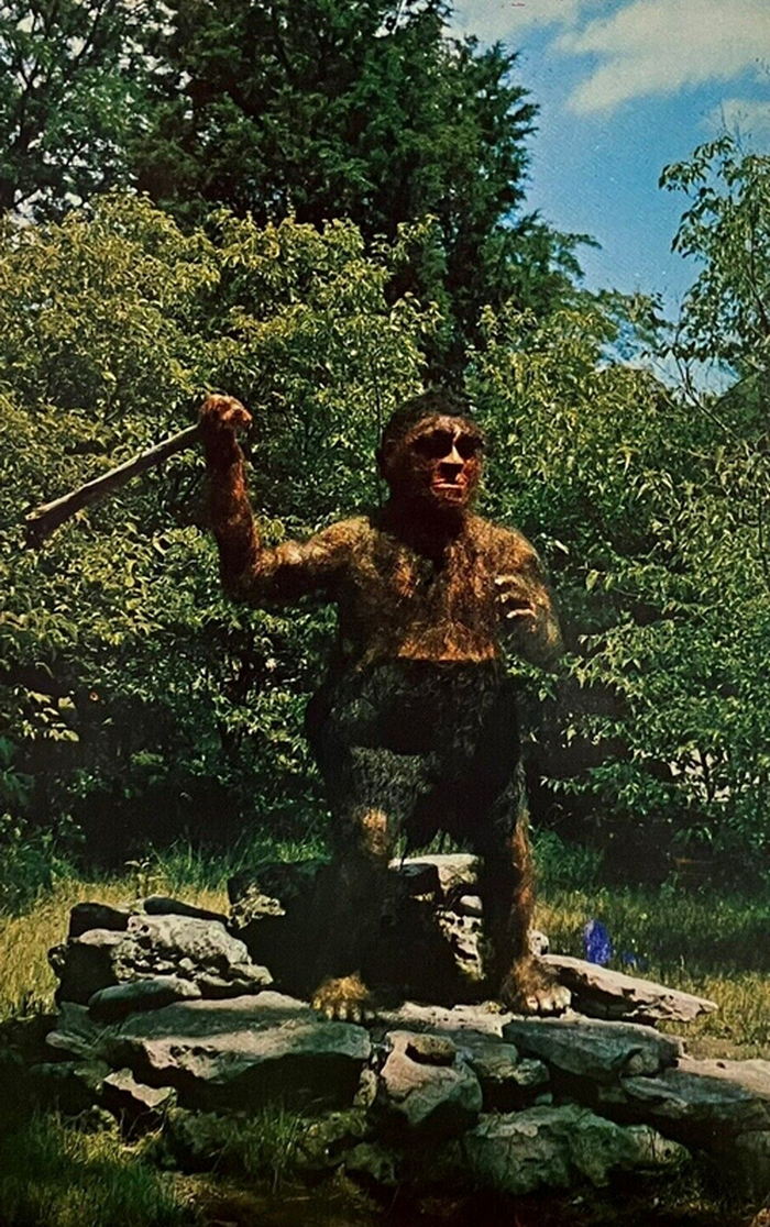 Prehistoric Forest - Vintage Postcard (newer photo)